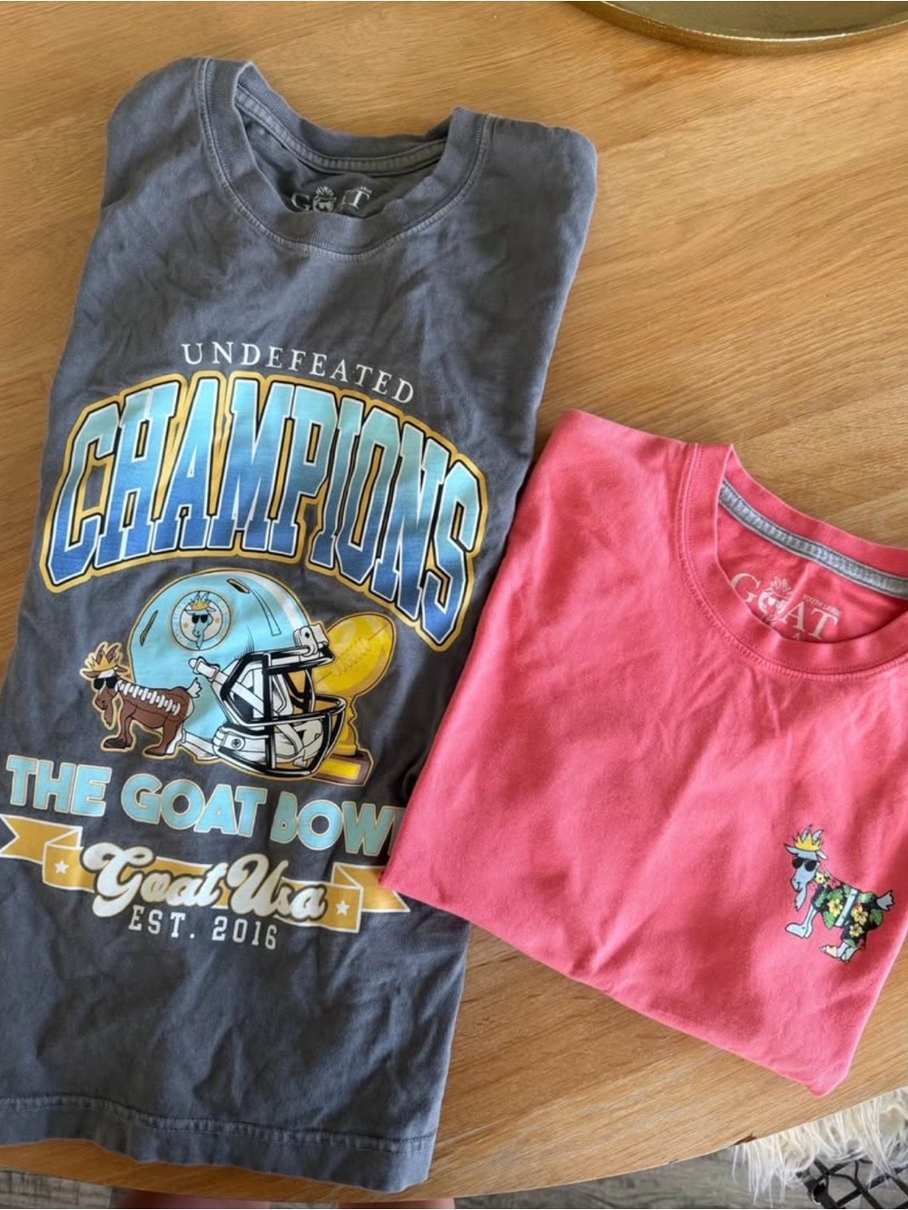 Boys Goat USA Tee in Gray & Pink